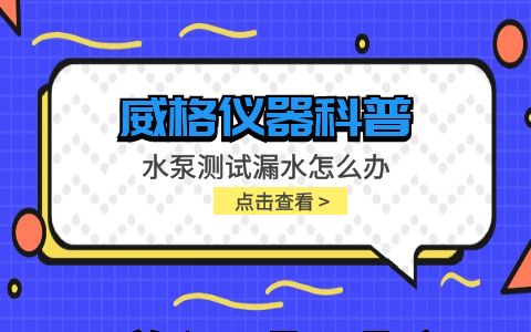 威格儀器-水泵測(cè)試的時(shí)候漏水怎么辦插圖 威格儀器-水泵測(cè)試的時(shí)候漏水怎么辦插圖